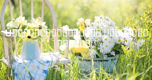 Ů������Խ����Խ���� ������������ʵ��